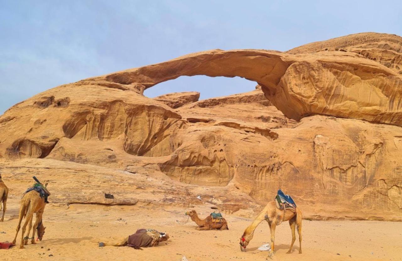 White Desert Camp Wadi Rum Esterno foto