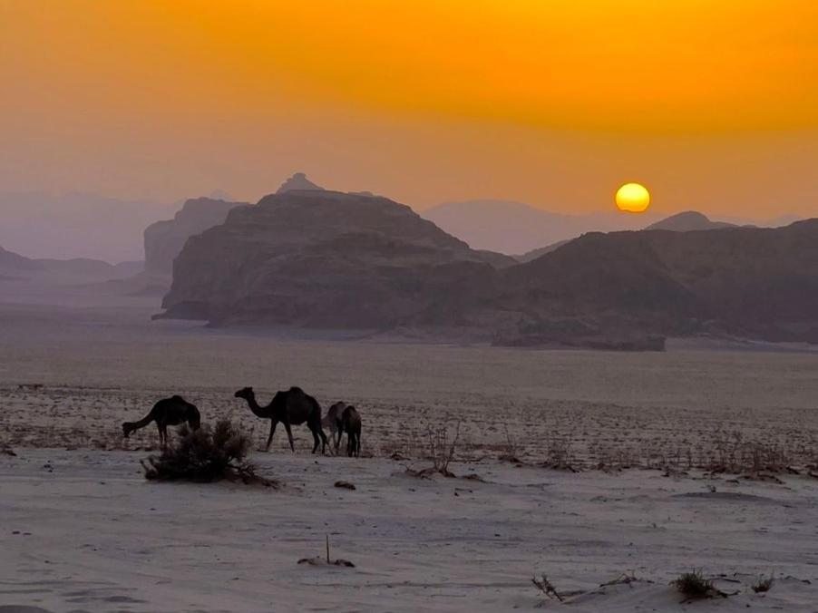 White Desert Camp Wadi Rum Esterno foto