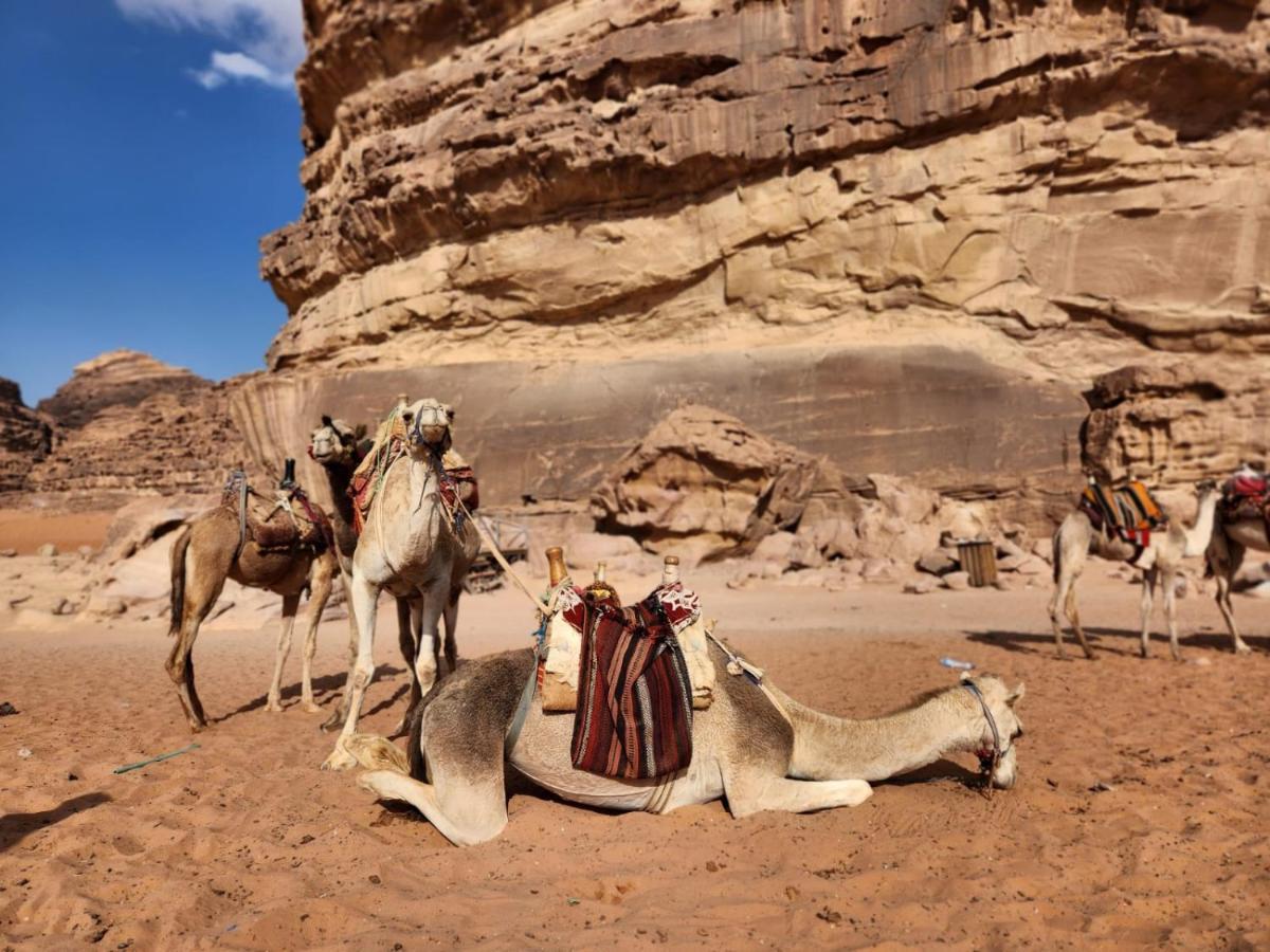 White Desert Camp Wadi Rum Esterno foto