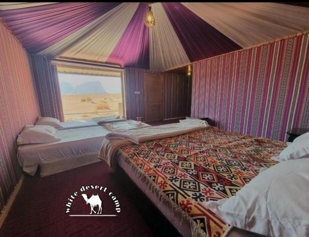 White Desert Camp Wadi Rum Esterno foto